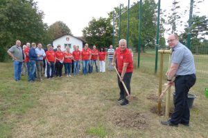 Bürgermeister Michael Merle und 1. Vorsitzender Thorsten Metz beim Pflanzen des Jubiläumsbäumchens auf dem Kirch-Gönser Sportplatz.